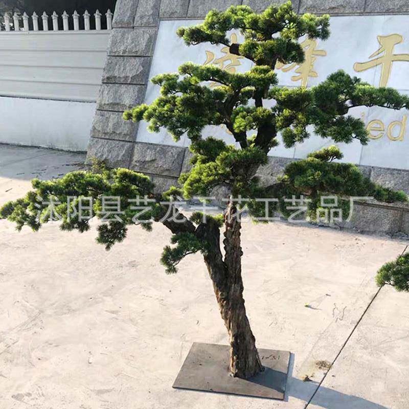 松树盆景罗汉松树庭院大型迎客松树盆景装饰摆件松