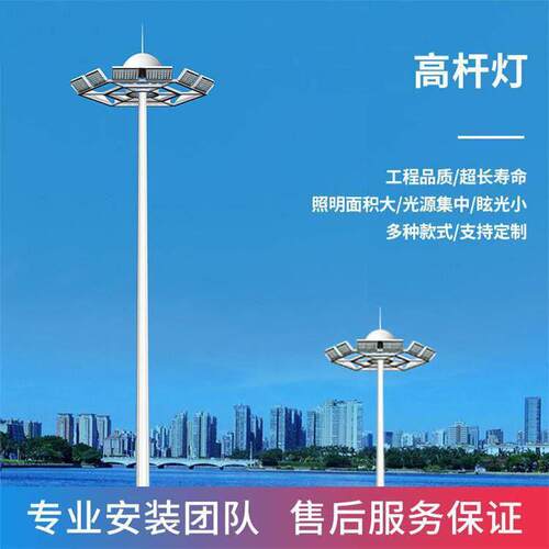 道路照明杆灯户外LED灯8米10米15米广场灯学校网球场工程中杆灯