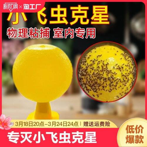 小飞虫果蝇苍蝇飞虫家用强力效粘虫球纸无毒水果店厨房飞虫