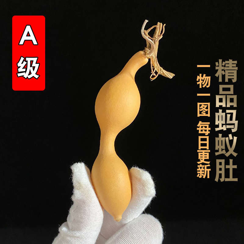 精品天然蚂蚁肚文玩小葫芦手捻手把件异形葫芦把玩天津嘴一物一图