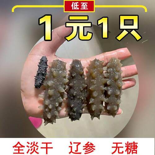 新疆西藏包邮淡干海参刺参特价干海参大连干 干货小海参迷你佛跳