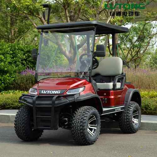 两座高尔夫球车 LT-A827.2G Electric vehicle golf cart