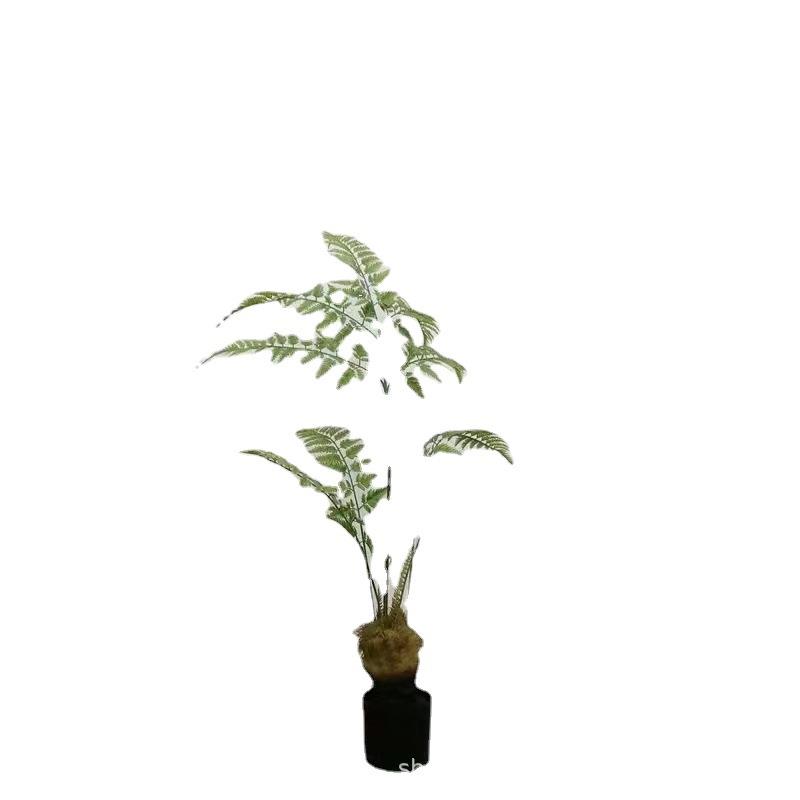 仿真猴头蕨金毛狗蕨假树室内中式园林系庭院造景装饰绿植物盆栽