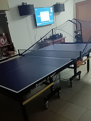 揭秘吐槽双鱼乒乓球桌怎么样有人刚入手又退掉为何?