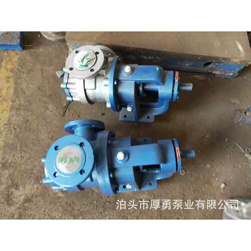 泊头厚勇不锈钢NYP高粘度泵内环式高粘度泵浓浆输送齿轮泵