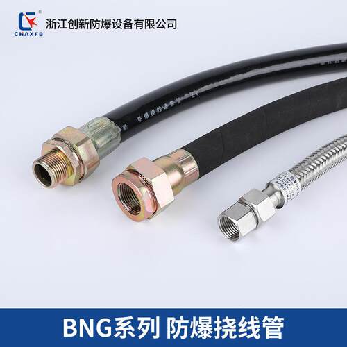 防爆挠性连接管不锈钢防爆管BNG-DN15/20/25金属防爆管软管4分6分
