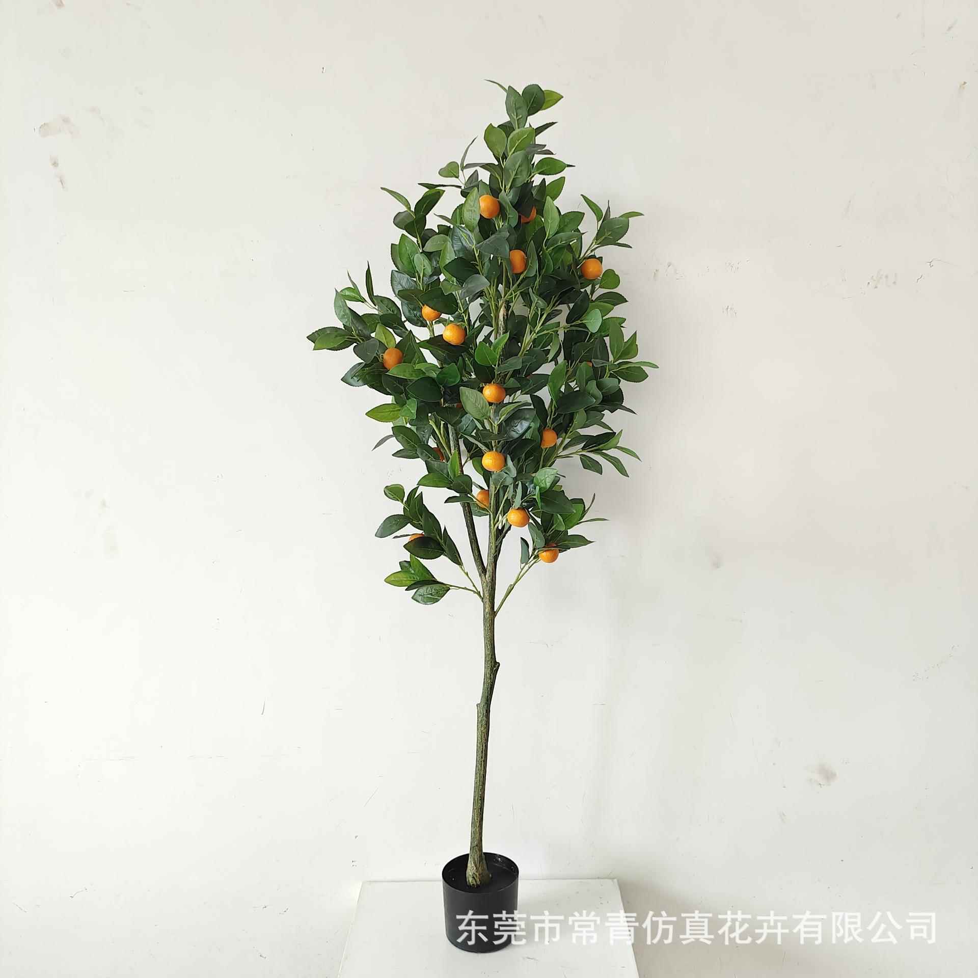 常青桔子景树商场店铺CQ0072装软装饰盆栽造计仿真设加密款橘子树