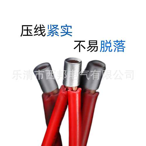 PNT22-38国标中间平行端子紫铜直通柱对接裸接头并线端子中间管