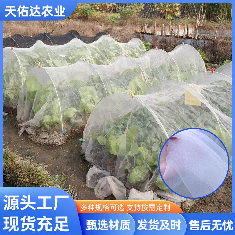 防虫网农用果园花卉加密防虫纱网 全新料蔬菜网罩温室大棚防虫网