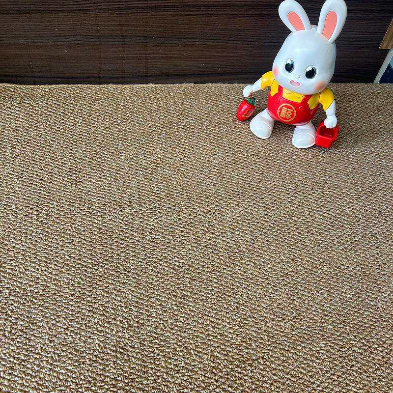 仿麻地毯防猫爪地毯hd01客厅剑卧室日式沙发旁纯色店民宿边办酒公
