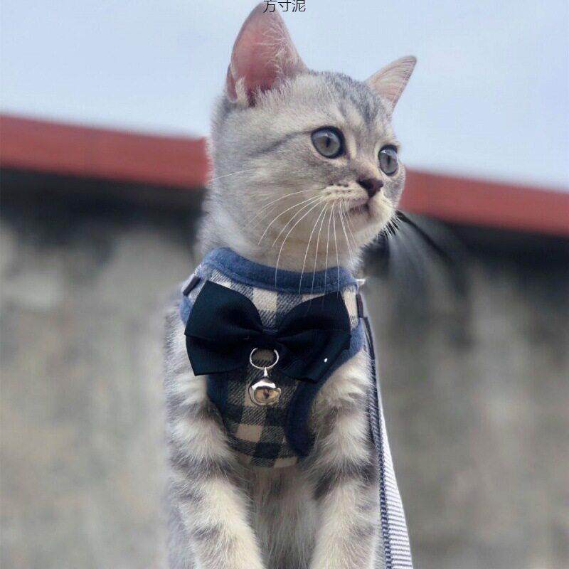 猫咪牵引绳溜猫绳遛狗狗子小奶猫幼猫小型犬宠物用品项圈胸背带