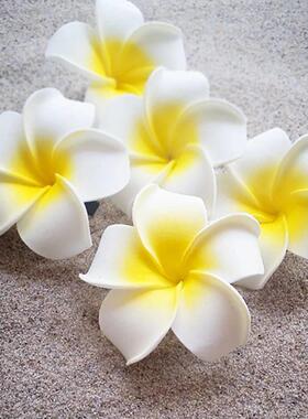 6Pcs Plumeria Flower Hair Clips for Women Girls Hairpins Egg