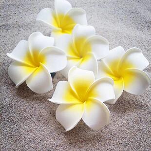 6Pcs Plumeria Flower Hair Clips for Women Girls Hairpins Egg