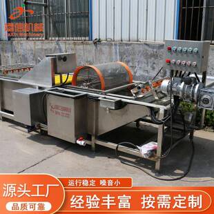 橙子果蔬清洗机大型苹果梨子柑橘清洗风干设备枸杞气泡清洗机