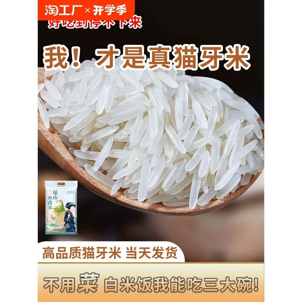 瑶山正宗猫牙米长粒香大米超长新米农家丝苗米煲仔饭专用真空一级