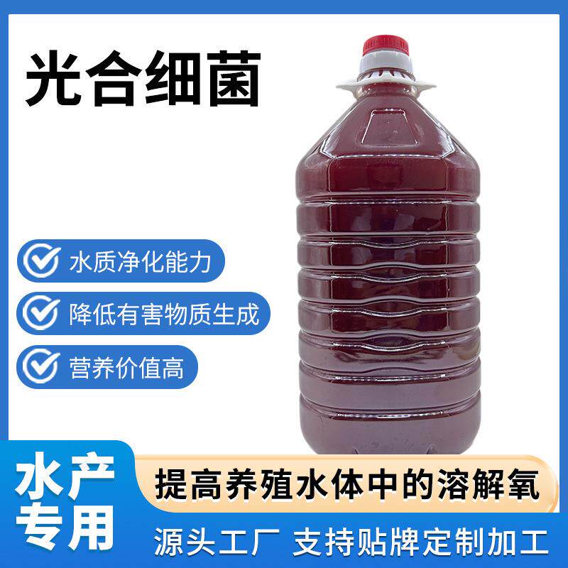 光合细菌浓缩种原料调水扩培水产养殖桶生物菌剂高密度价水菌