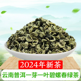 云南普洱碧螺春绿茶自己喝自饮2024年新茶一芽一叶滇绿特产散装茶