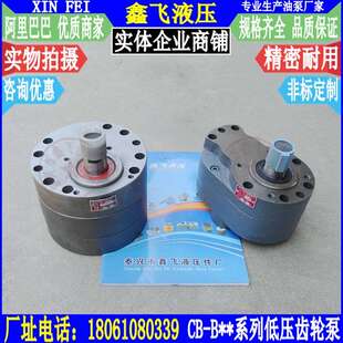 B50 B125齿轮油泵HYXCB B20 B100 B80 B63 B40 B32 B25 B16 TXLB