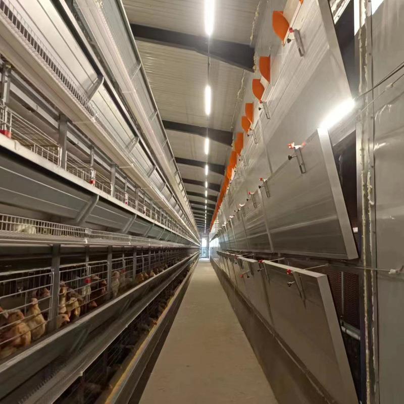 大层式叠蛋鸡笼化全动厂家自动HTI化清粪捡自蛋喂料蛋鸡笼母鸡笼
