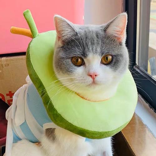 伊丽莎白圈 猫项圈猫脖圈牛油果面包圈 猫咪宠物头套防舔耻辱圈