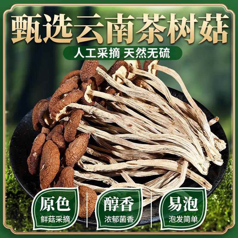 新货茶树菇干货净重云南特产农家脆嫩蘑菇炒菜炖汤食材不开伞菌菇