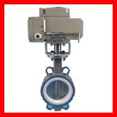 D971F 蝶阀DN200不锈钢316L电动碟阀DN250 10RL四氟密封电动对夹式