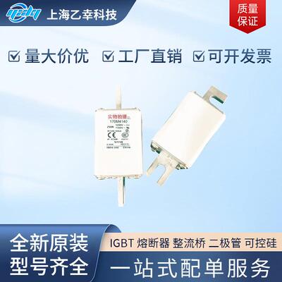 巴斯曼熔断器 170M4242 170M4243 170M4244 170M4245 170M4246