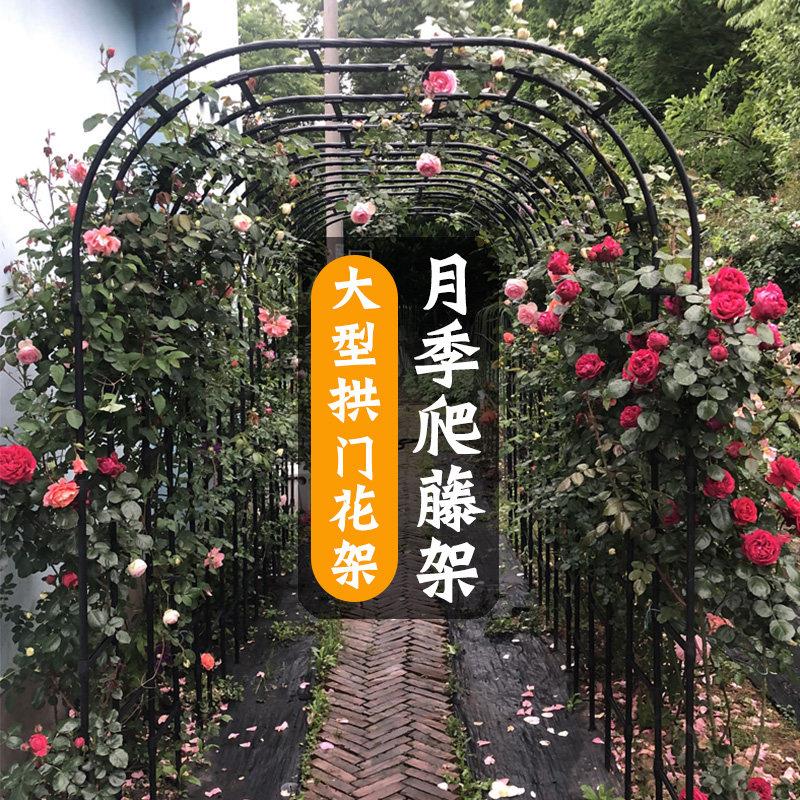 拱形拱门花架爬藤架花支架室外阳台庭院花园月季葡萄藤架铁艺架子