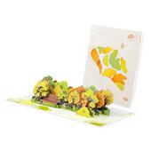 Card Greeting with Envelope Birthday Popup for Flower