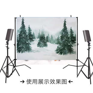 雪景摄影背景布影楼家用室内影棚拍照拍摄写真布 新年圣诞节冬季