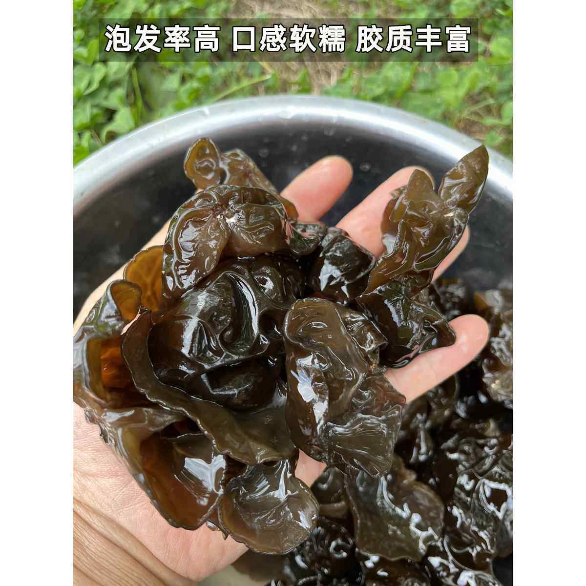 东北黑木耳干货黑龙江特产半野生柞木段木耳秋耳散装无根大朵500g