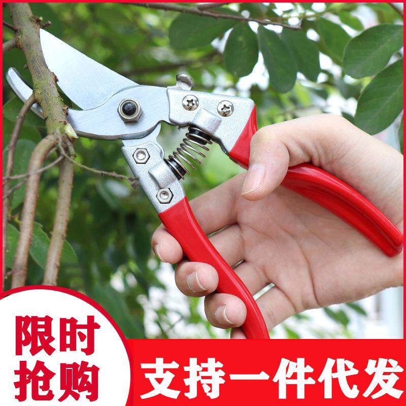 果树剪枝修花剪修枝剪省力摘果园艺剪修枝园林花艺修剪树枝剪粗枝