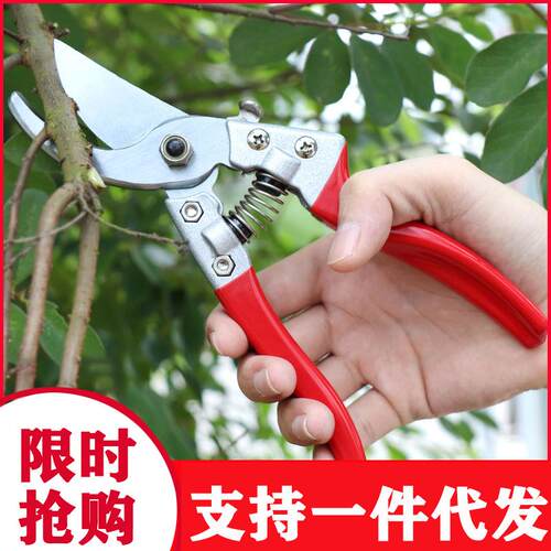 果树剪枝修花剪修枝剪省力摘果园艺剪修枝园林花艺修剪树枝剪粗枝