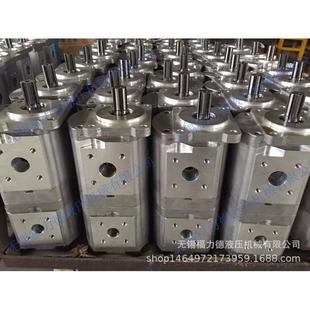 F563 F550 F510 CBNL BFH双联齿轮油泵 BFH 福力德直供CBNL