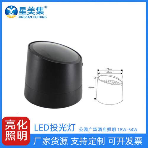 照树灯户外插泥插地灯景区园林绿化投光灯户外18W24W36W54W