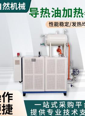 厂家供应导热油加热炉供暖煤改电加热炉恒温型30kw小功率