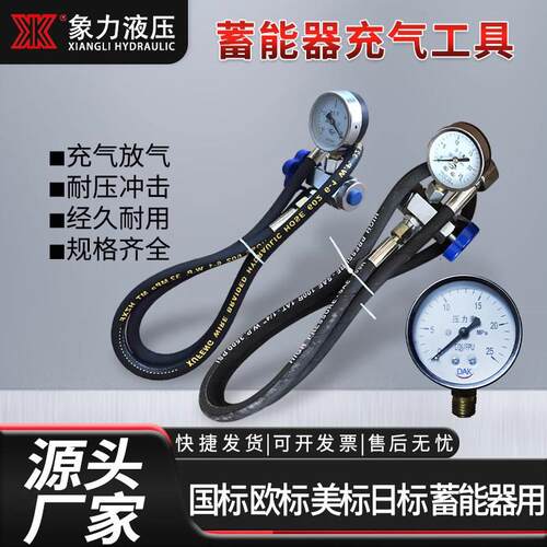 现货液压蓄能器CQJ-25剪板机充气工具 剪板机充氮工具 充气阀25Mp