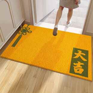 黄色入户门地垫2026新款进门门口脚垫家用玄关防滑垫子可裁剪地毯