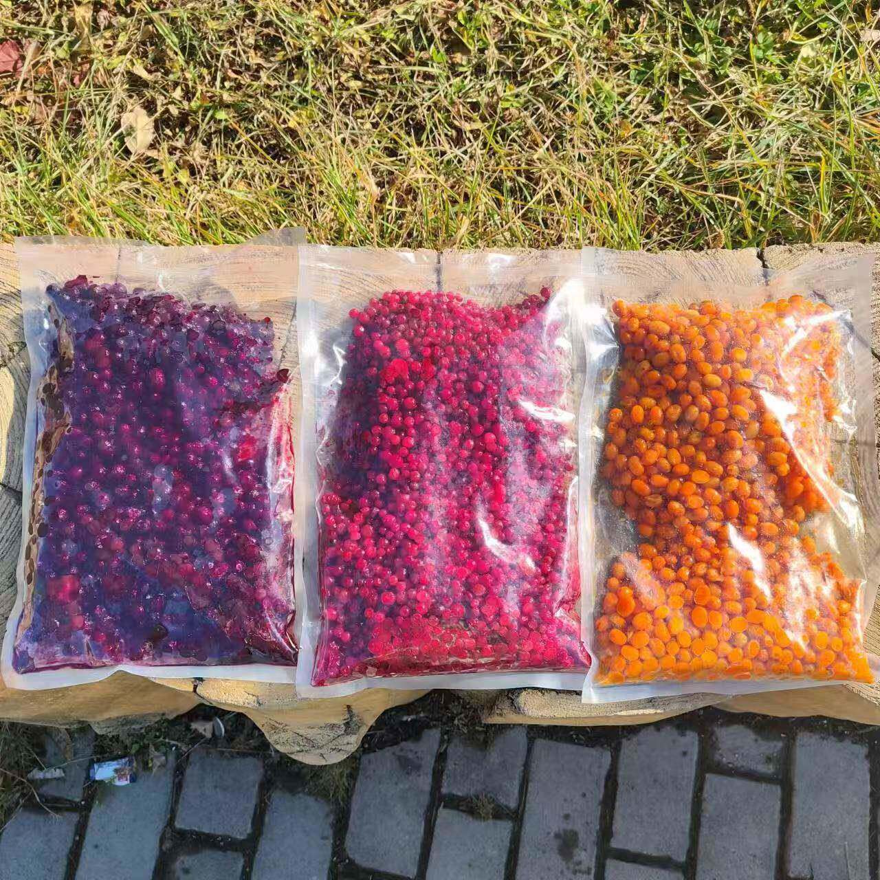 大兴安岭鲜果冷冻蓝莓蔓越莓沙棘奶茶店甜品店果汁奶昔顺丰包邮