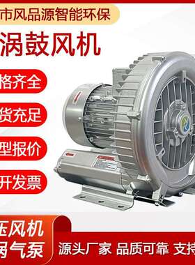 20PB31UEIH06高压旋涡风用机吹吸两鼓风机真空泵漩涡泵上料机气风