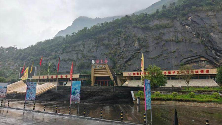 1月28日绵阳旅游公司名下土地使用权、房屋（构）建筑物和机器设备等经营性资产包网络拍卖公告