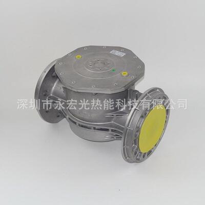 10607/F DN65法兰过滤器原装菲奥FIORENTINI燃烧机配件供应商厂家