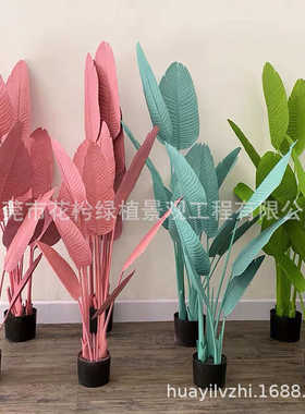 ins北欧风红粉色系列组合仿真植物琴叶榕龟背叶旅人蕉芭蕉树