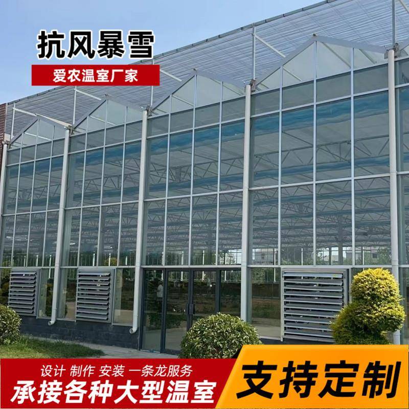 智能现代化玻璃温室大棚文洛式蔬菜花卉育苗连栋玻璃棚阳光板大棚图片