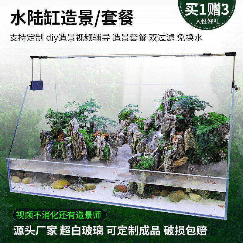 水陆两栖造景超白缸雨林套餐材料生态超白植物水草微景观鱼缸生态