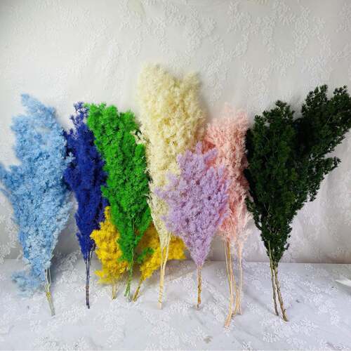 永生花蓬莱松手工DIY制作花材婚庆节庆用品场景布置云南基地干花