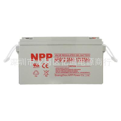 广州耐普蓄电池NPG12-120/12V120Ah太阳能发电 通讯储能NPP