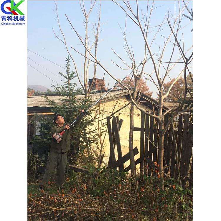 农业修剪高空树枝工具园林小型汽油修剪机手持式林业高枝锯高枝剪