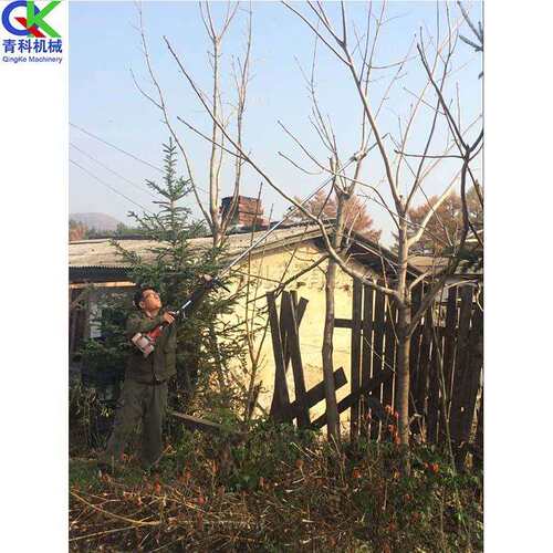 农业修剪高空树枝工具园林小型汽油修剪机手持式林业高枝锯高枝剪