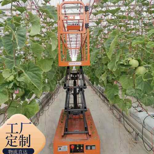 厂家KWW直供200果园摘机电动采大 棚升降平台 室种植采温摘搬运车